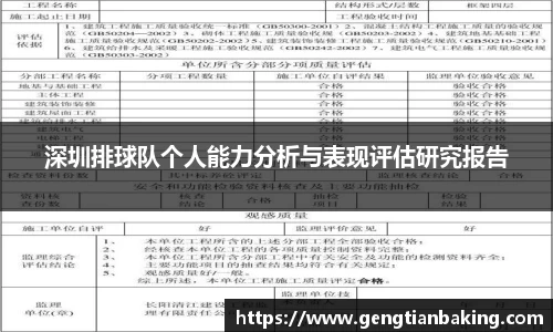 深圳排球队个人能力分析与表现评估研究报告